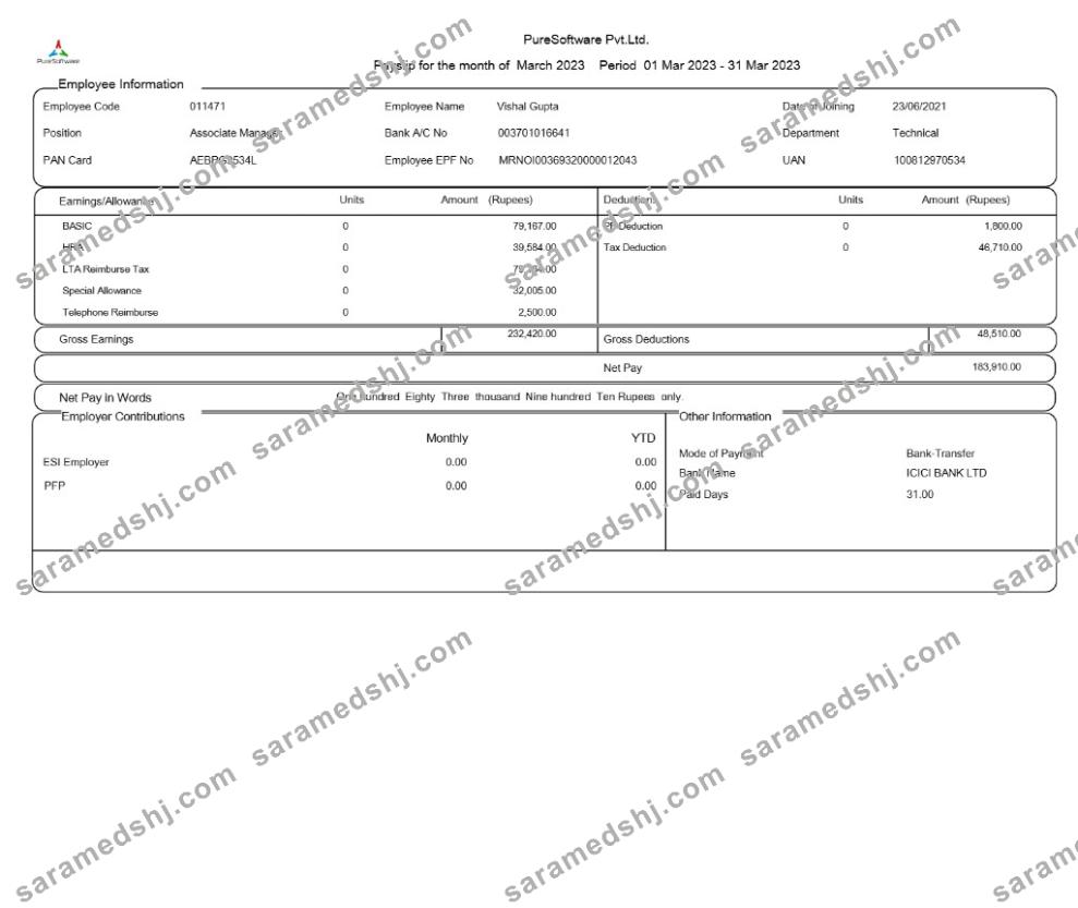 PureSoftware payslip template in Word and PDF formats.pdf, 1